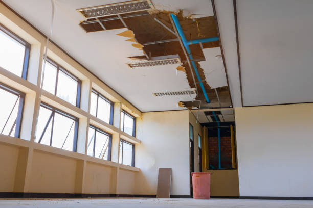 Best 24-hour water damage restoration  in Martin, TN