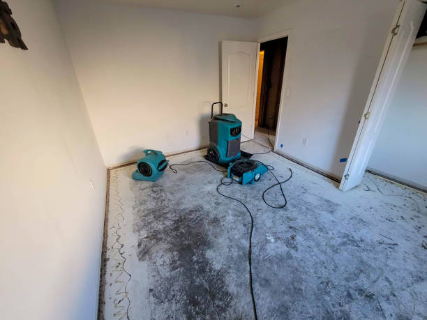 Best Water damage contractors near me  in Martin, TN