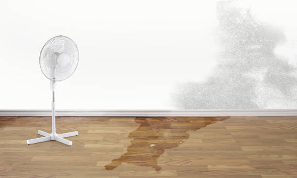 Best 24/7 water damage repair  in Martin, TN