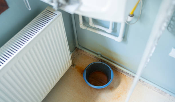 Best Residential water damage restoration  in Martin, TN