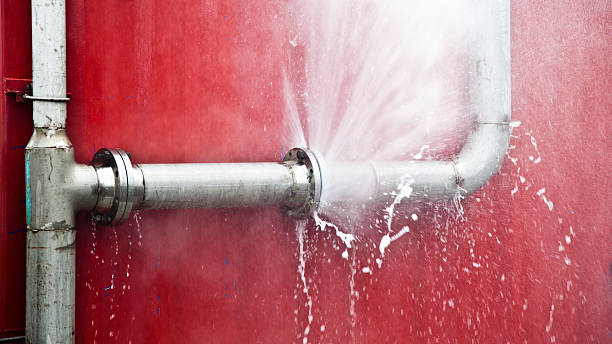 Best Water damage mitigation services  in Martin, TN